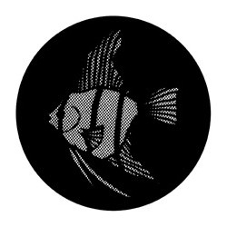 Gobo Meshed Angel Fish n° 77612